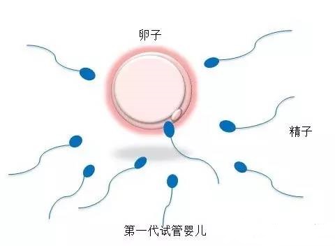 培养室